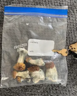 Penis Envy Magic Mushrooms